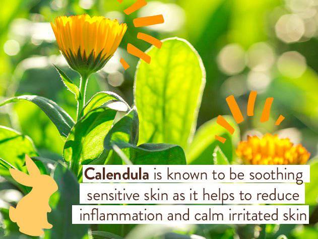 Moisturizing Oat & Calendula Body Lotion Duo