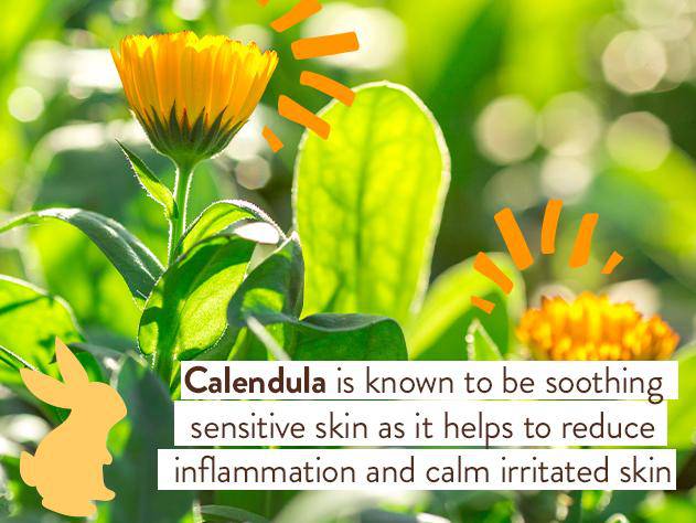 Moisturizing Oat & Calendula Bubble Bath & Wash