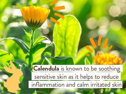 Moisturizing Oat & Calendula Bubble Bath & Wash Duo