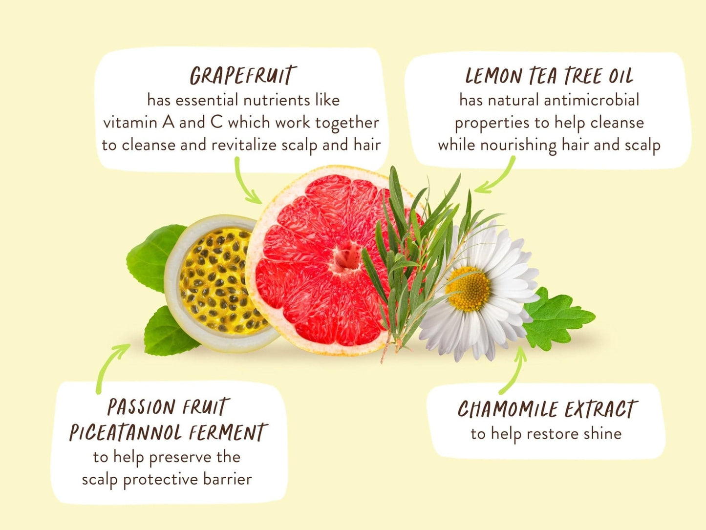 Purifying Conditioner for Flat, Oily hair