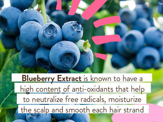 Smoothing Berry & Primrose Shampoo & Wash