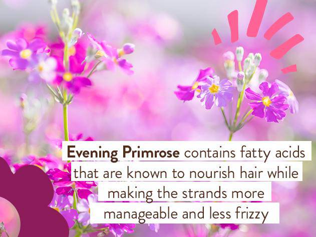 Smoothing Berry & Primrose Shampoo & Wash