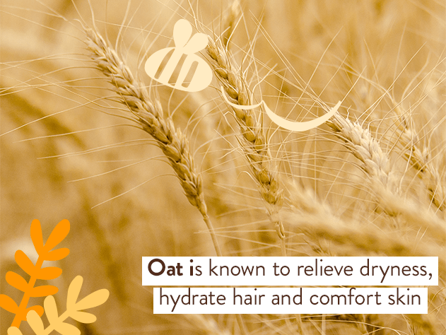Moisturizing Oat Shampoo & Refill Set