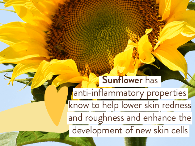 Swim & Sport Mineral Sunscreen Set