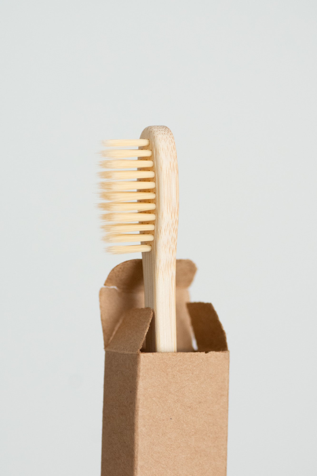 Moso Bamboo Toothbrush - Family Size - 10 Pack - No Tox Life®