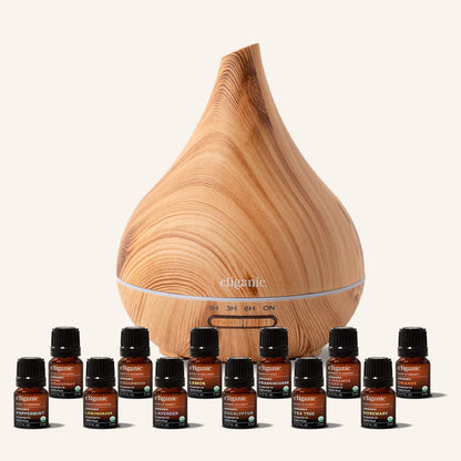 Bundle & Save! Top 12 Essential Oils Set with Diffuser