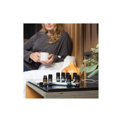 Bundle & Save! Top 6 Essential Oils Set with Diffuser