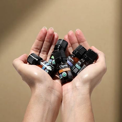 Bundle & Save! Top 6 Essential Oils Set with Diffuser