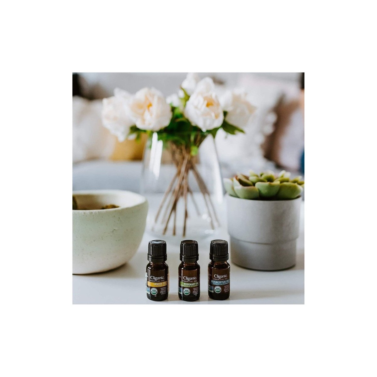 Bundle & Save! Top 6 Essential Oils Set with Diffuser