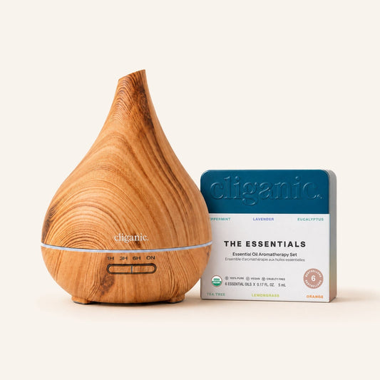 Bundle & Save! Top 6 Essential Oils Set with Diffuser
