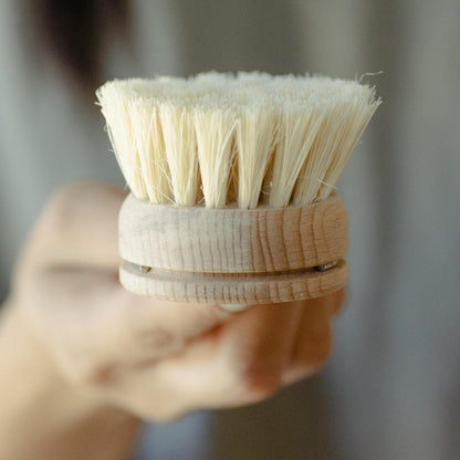 CASA AGAVE® Long Handle Dish Brush White Teakwood - No Tox Life®