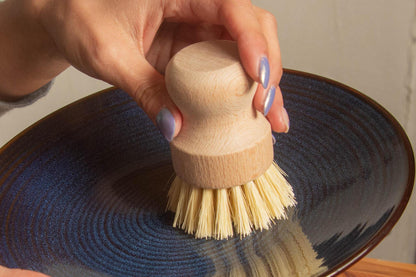 CASA AGAVE® Dish Brush White Teakwood - No Tox Life®