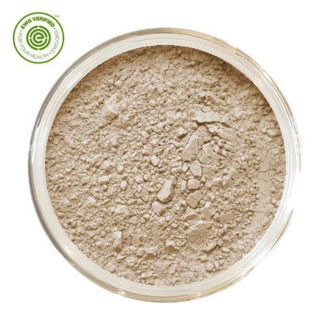 MINERAL FOUNDATION SEA SHELL
