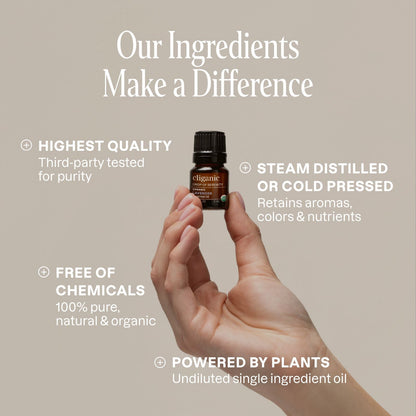 5-Piece Essential Oil Aromatherapy Set