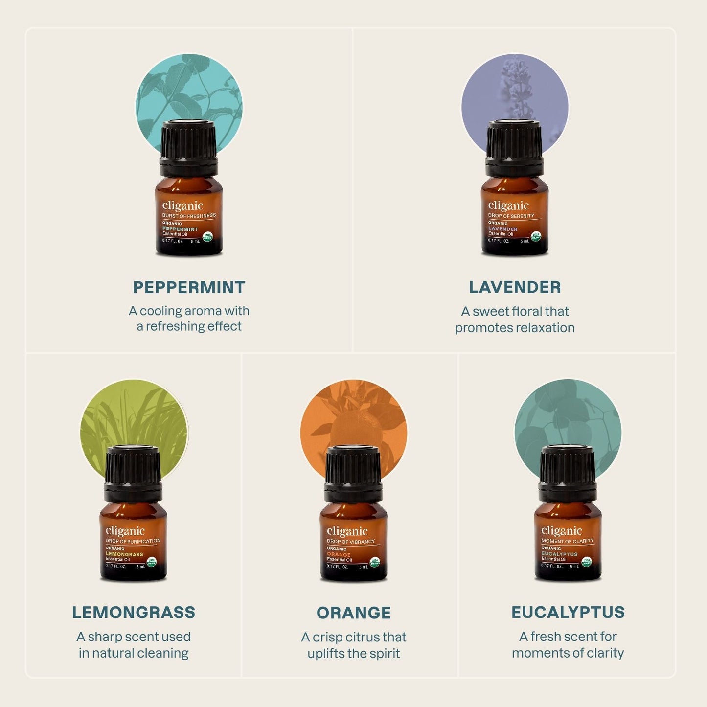 5-Piece Essential Oil Aromatherapy Set