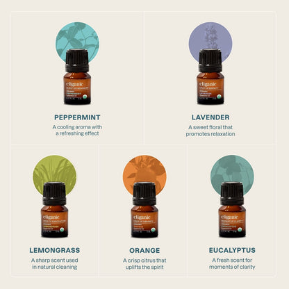 5-Piece Essential Oil Aromatherapy Set