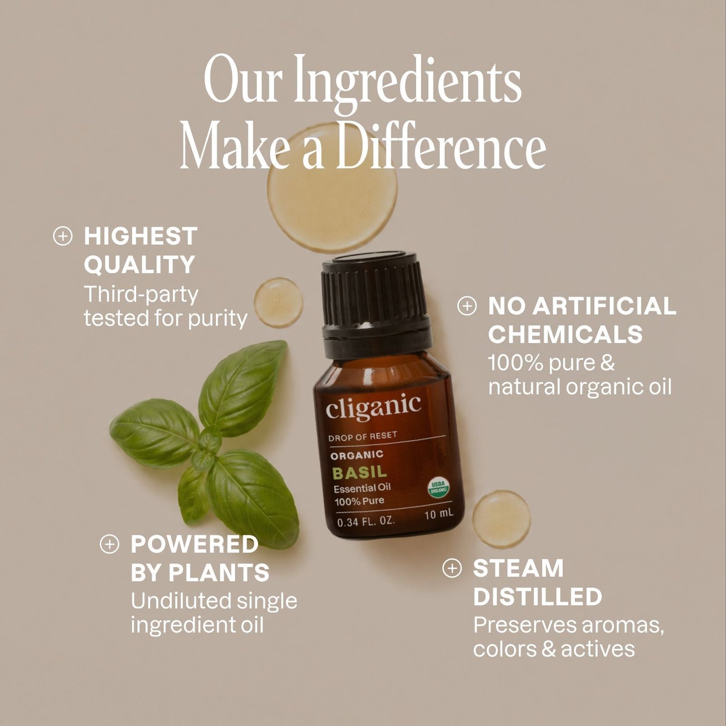 Organic Basil