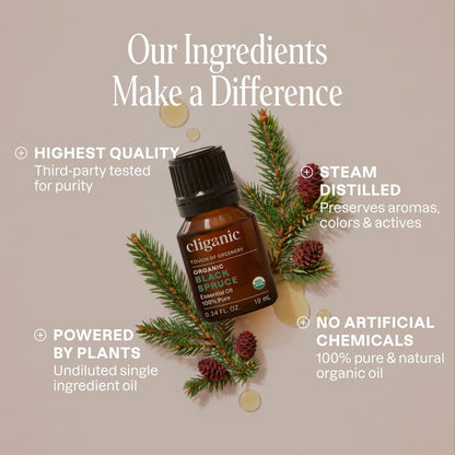 Organic Black Spruce