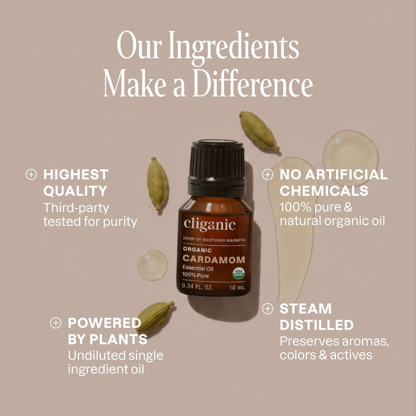 Organic Cardamom