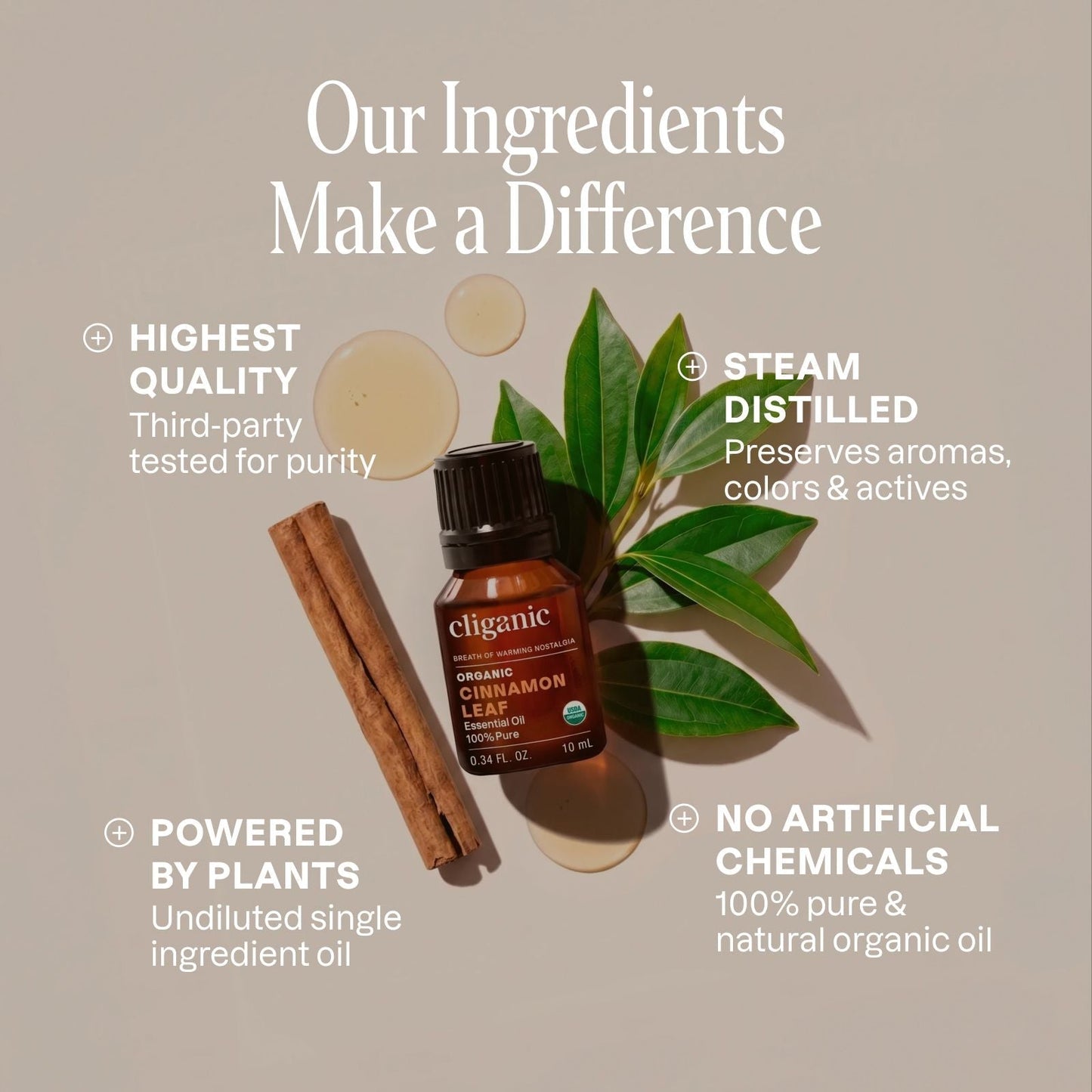 Organic Cinnamon Leaf Essential Oil