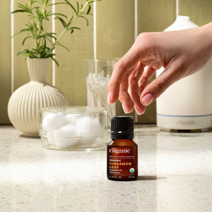 Organic Cinnamon Leaf Essential Oil