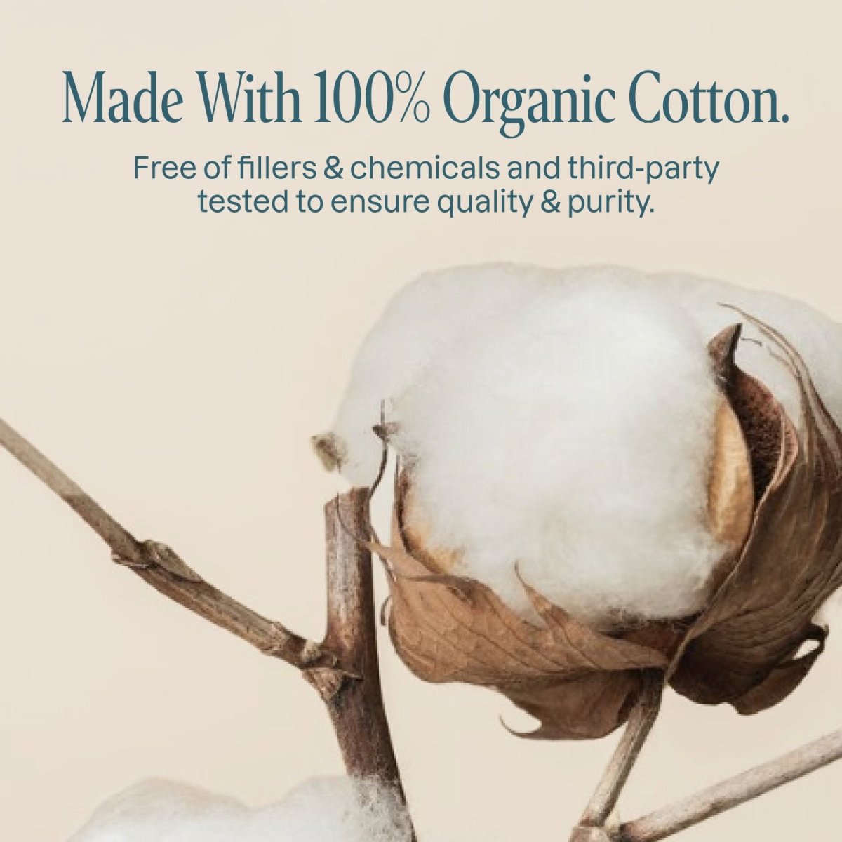 Organic Cotton Swabs - Paper