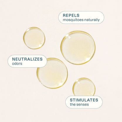 Organic Lemon Tea Tree