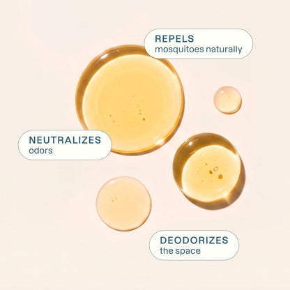 Organic May Chang Essential Oil