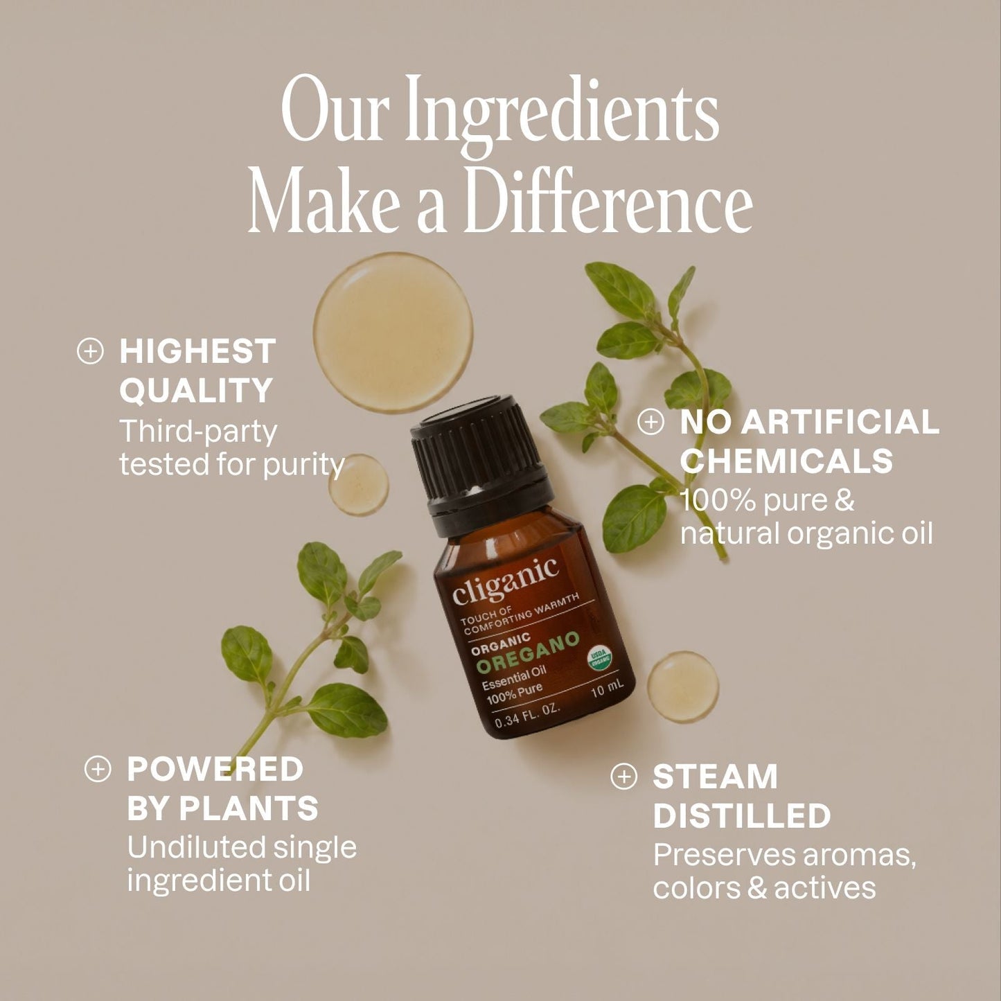 Organic Oregano