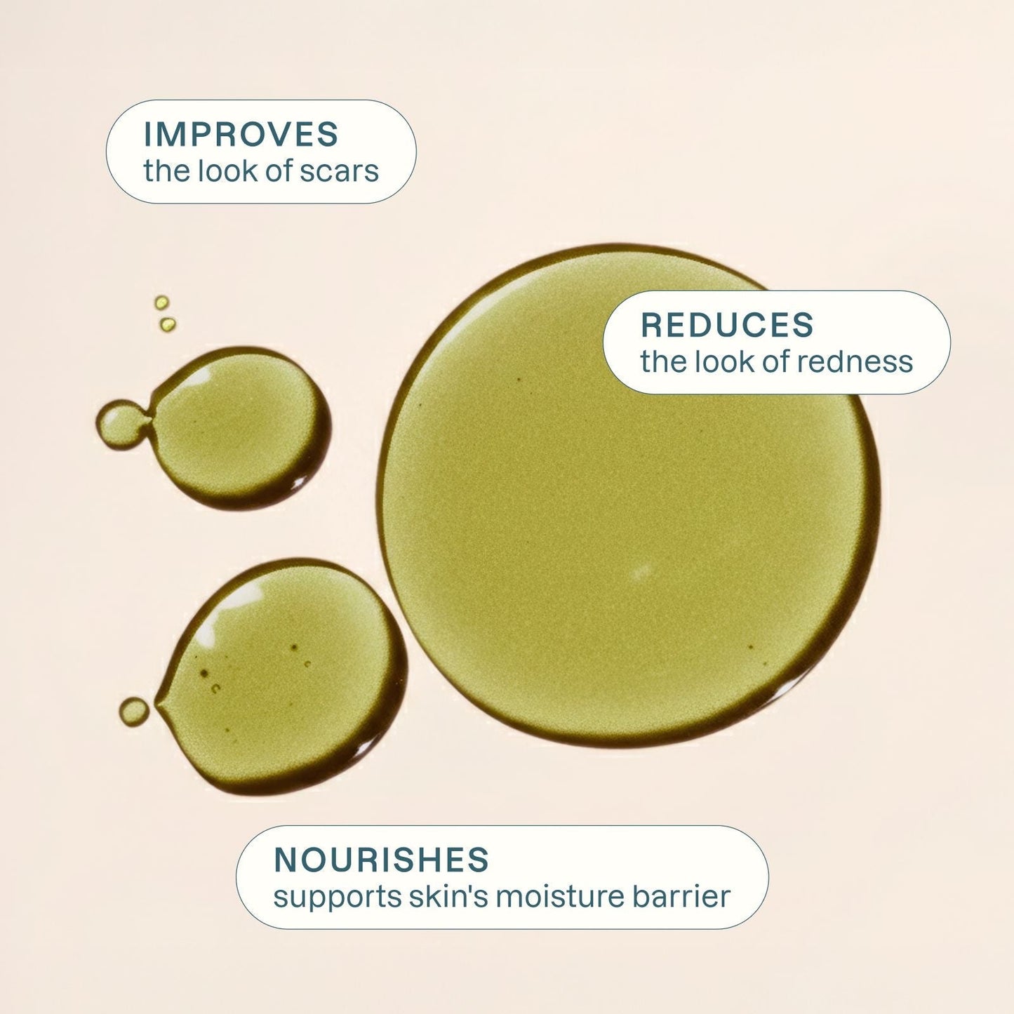 Organic Tamanu Oil
