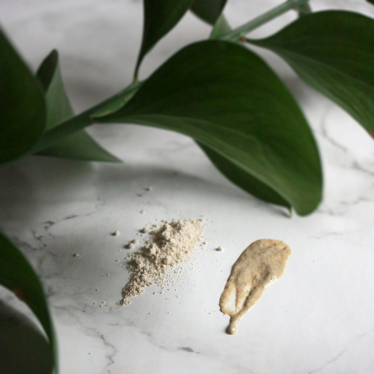 petal, leaf, root. by Just the Goods facial cleansing grains for normal/sensitive skin