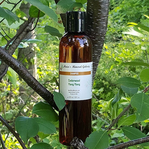 SHAMPOO - CEDARWOOD YLANG YLANG