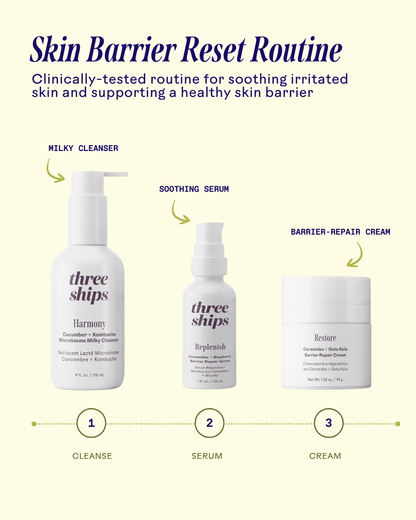 Skin Barrier Reset Routine
