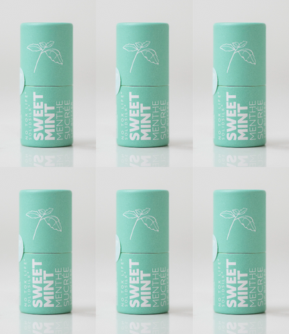 SOLIDSILK® Lip Butter - Sweet Mint - Pack of 6 - No Tox Life®