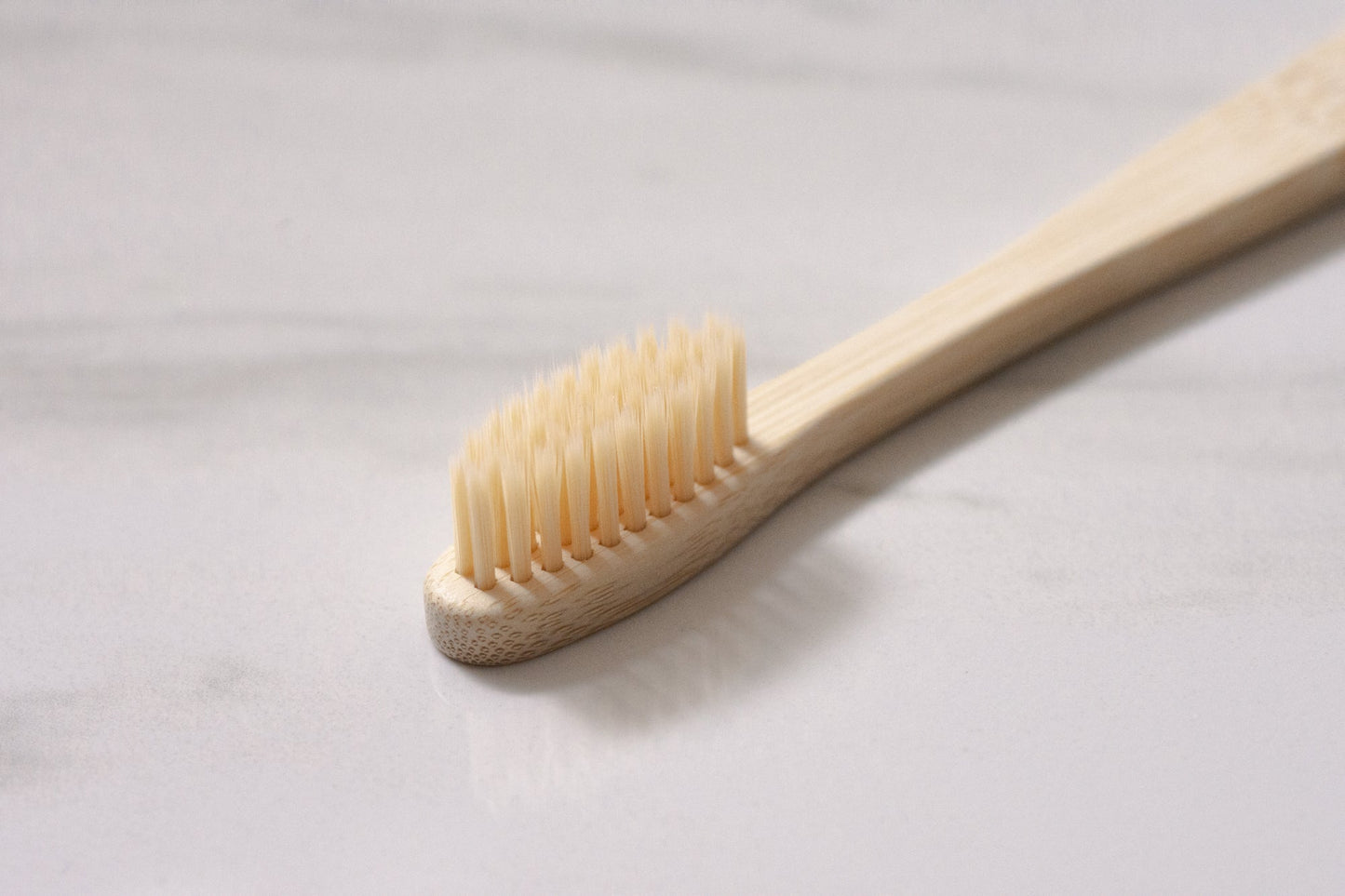 Moso Bamboo Toothbrush - Family Size - 10 Pack - No Tox Life®