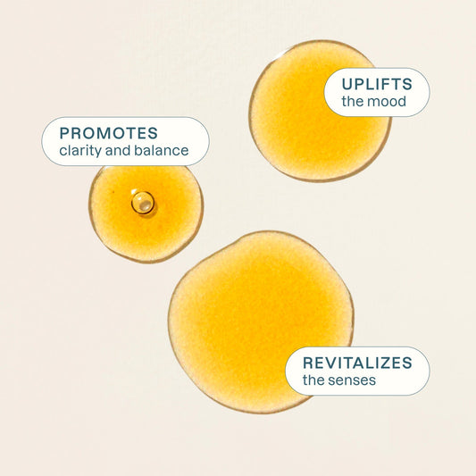 Organic Turmeric Essential Oil